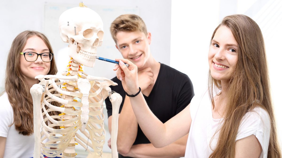 Ausbildung Medizinischer Masseuer Ars Manuum GmbH